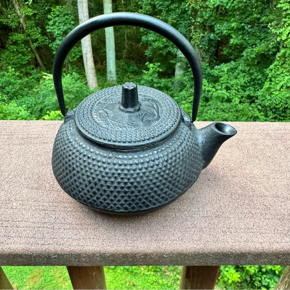 Japanese Cast Iron Arare Hobnail Tetsubin Style Teapot Infuser Black Made Japan
